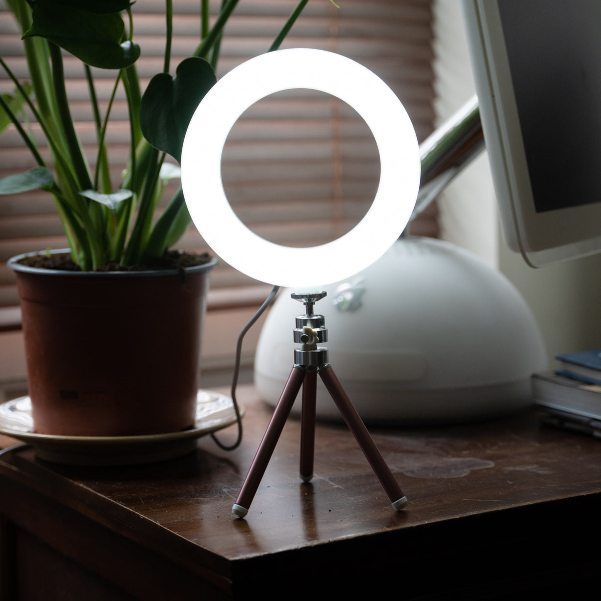 Colour Stream Ring Light 6 Talents