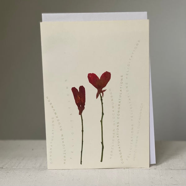 Congratulations - Greeting Card