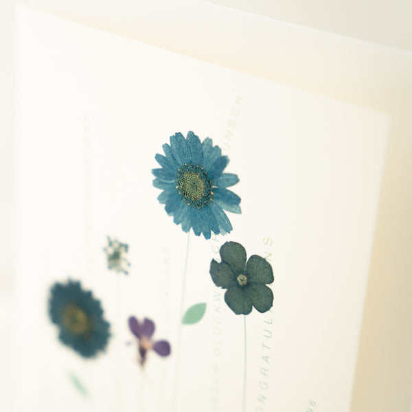 Congratulations - Greeting Card