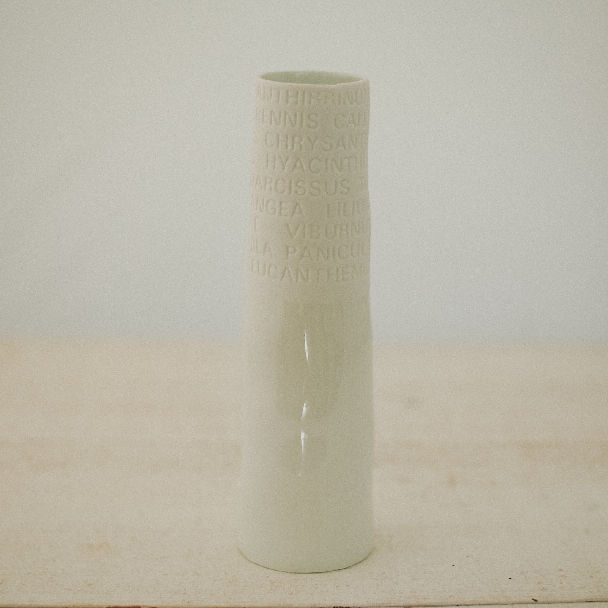 Poetic porcelain vase